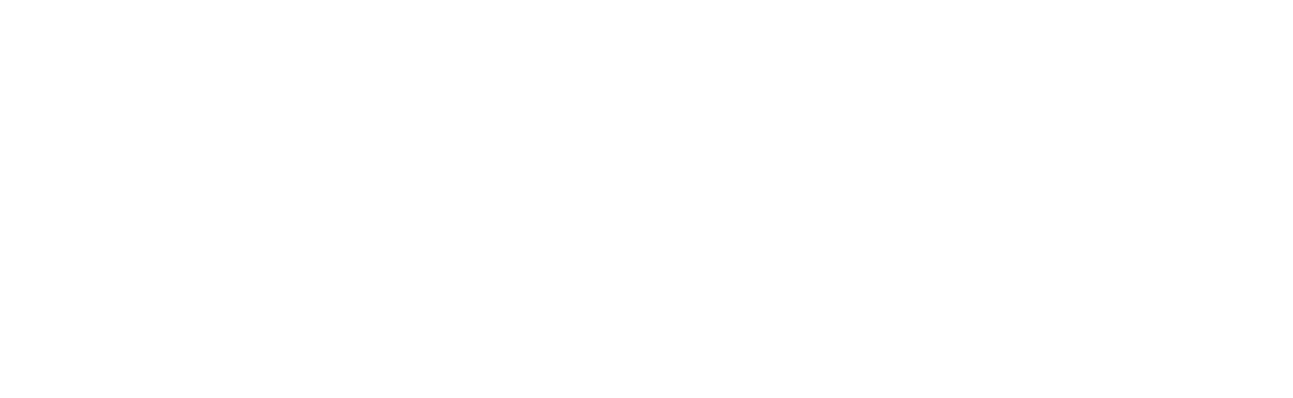 Virksomhedsudvikling_DK_logo_Center_White_RGB