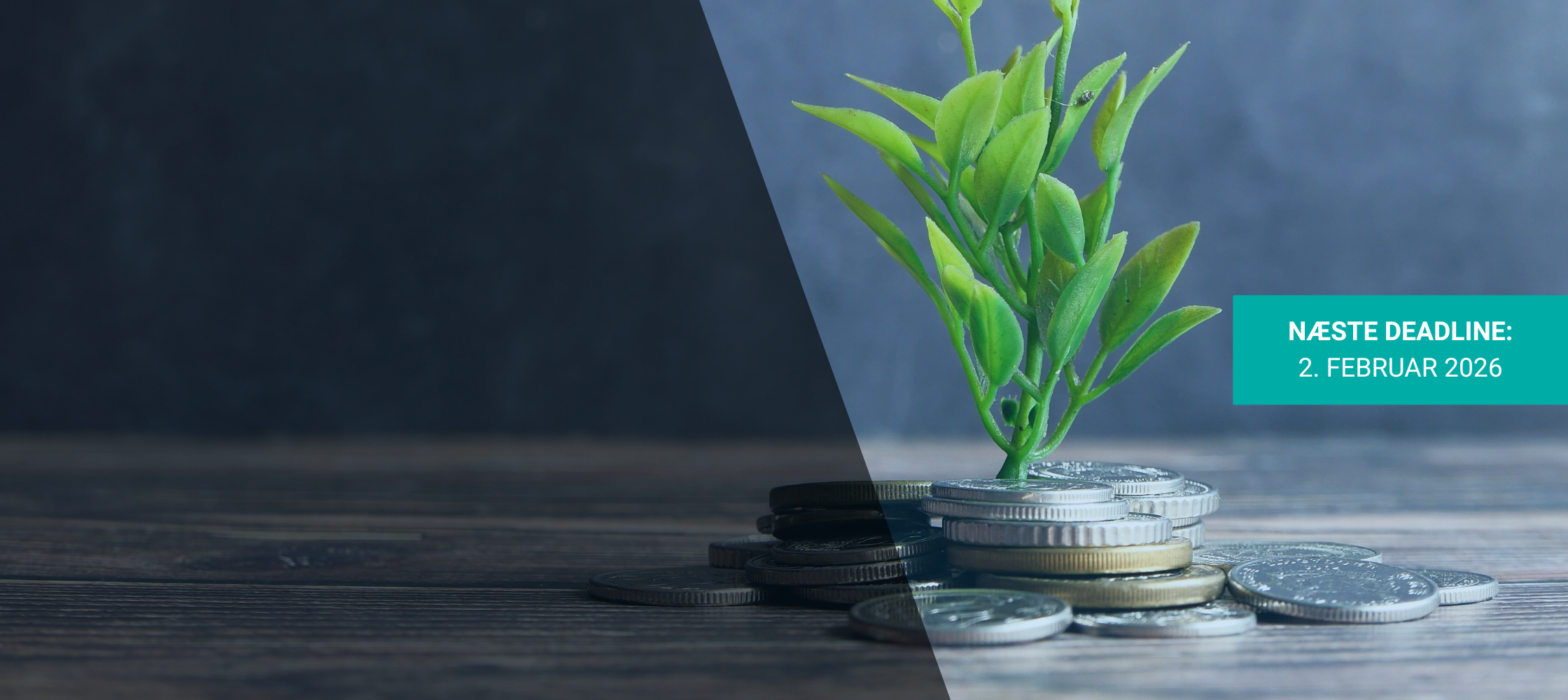 Funding til din virksomhed 